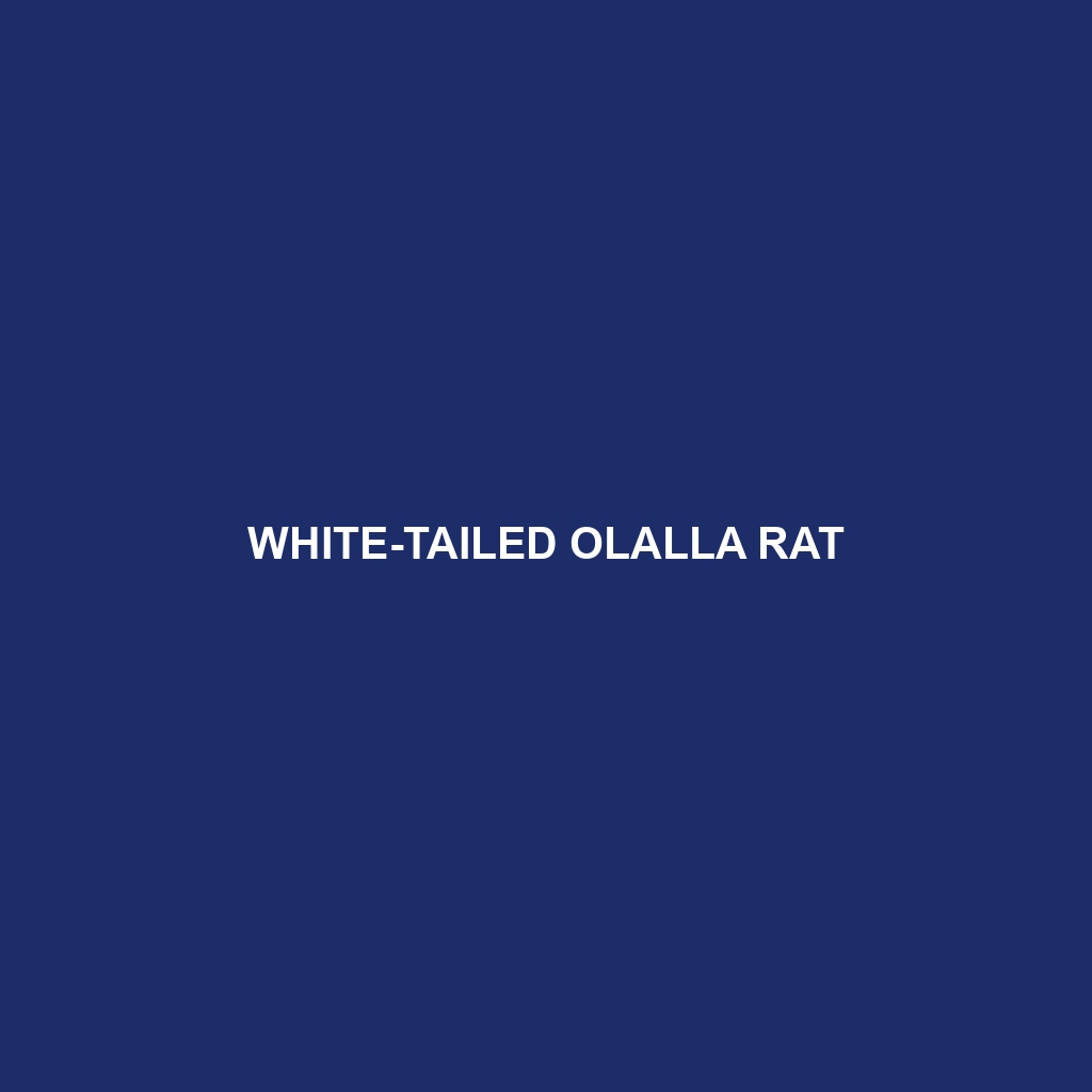 White-tailed Olalla Rat