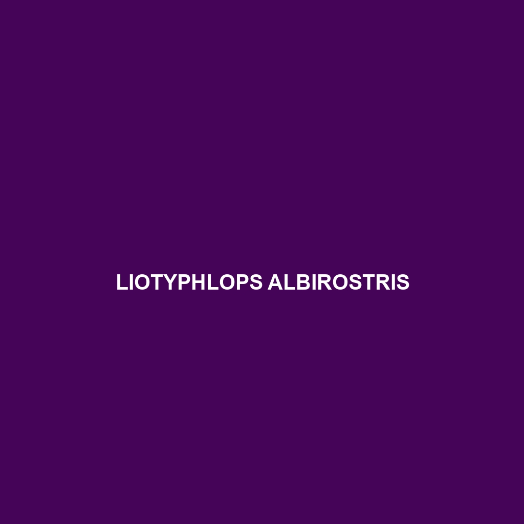 Liotyphlops albirostris