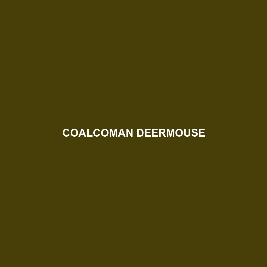 Coalcoman Deermouse