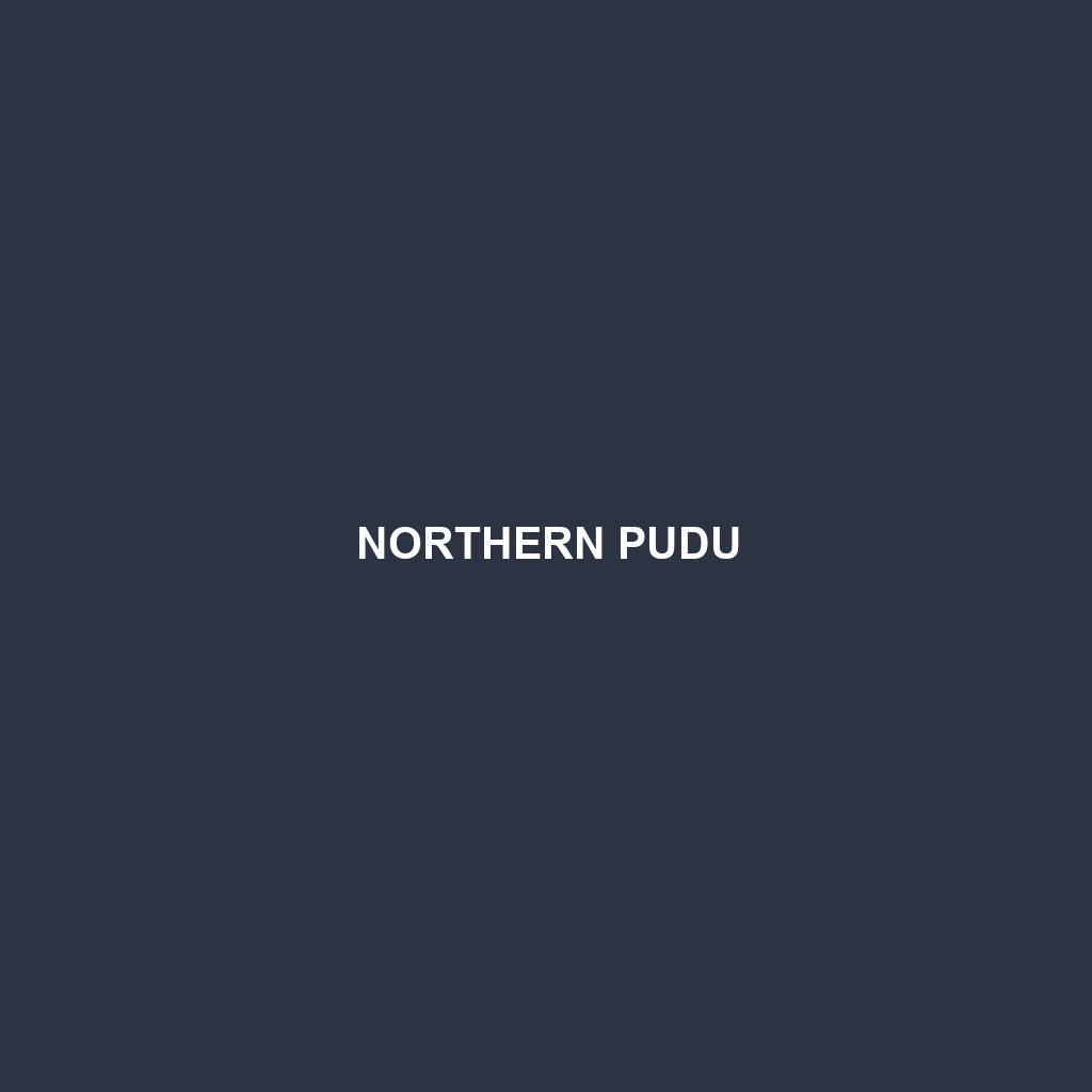 Northern Pudu