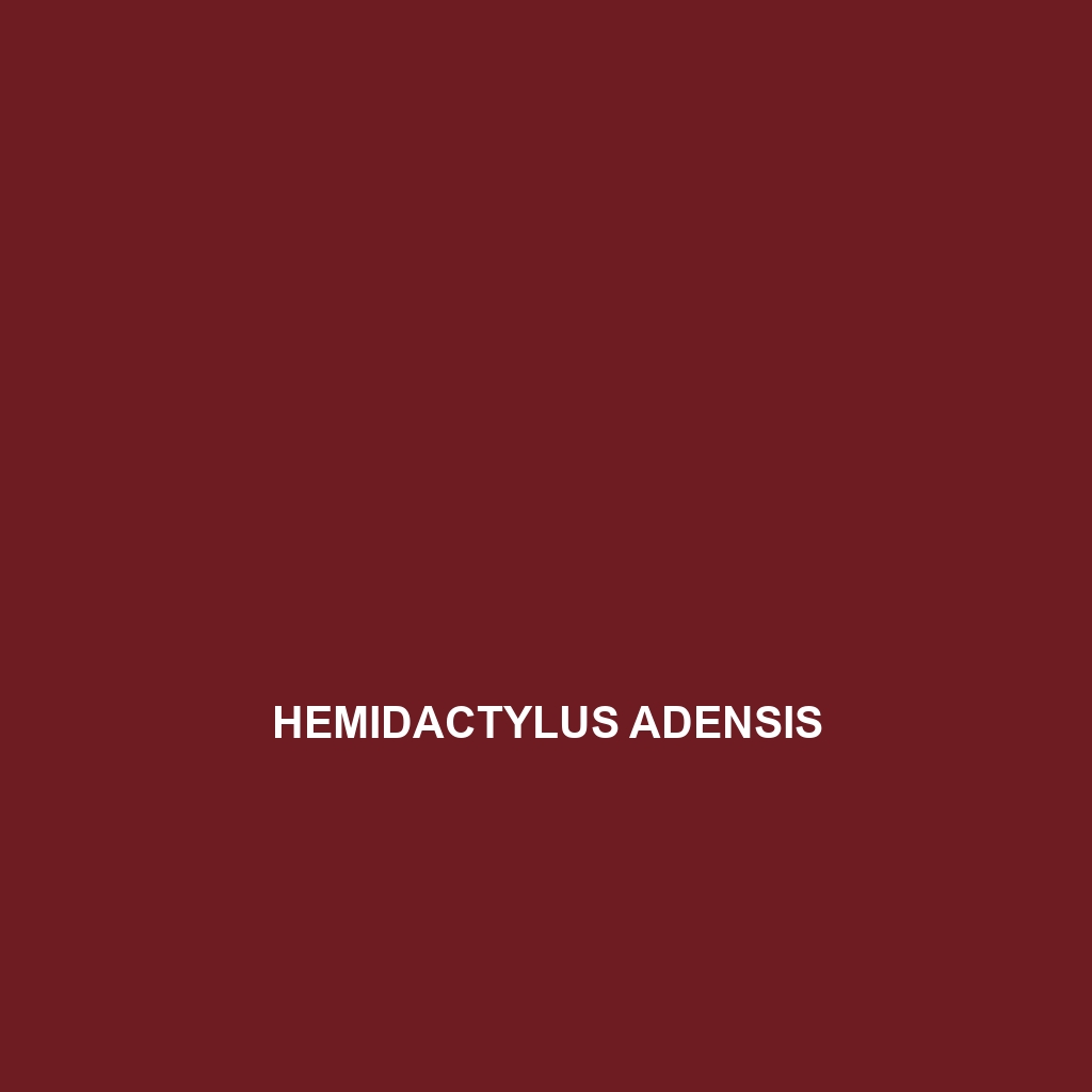 Hemidactylus adensis