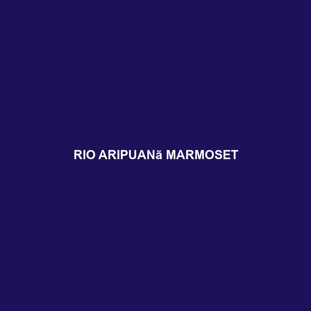 Rio Aripuanã Marmoset