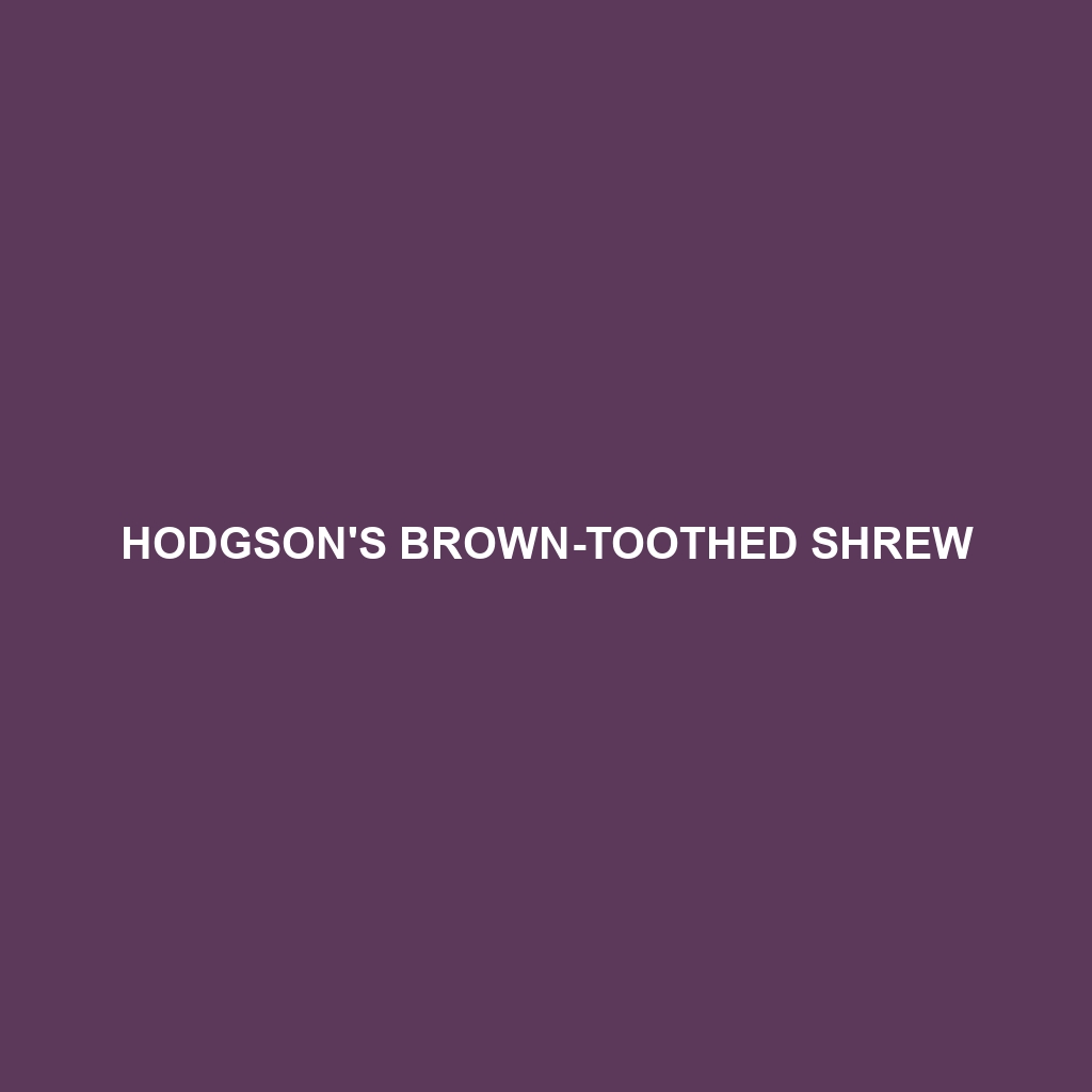 Hodgson's Brown-toothed Shrew