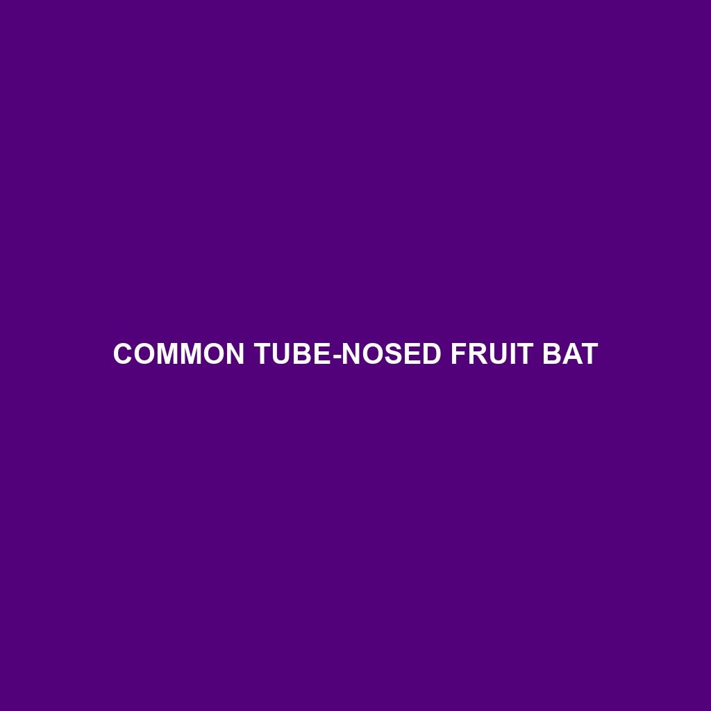 Common Tube-nosed Fruit Bat