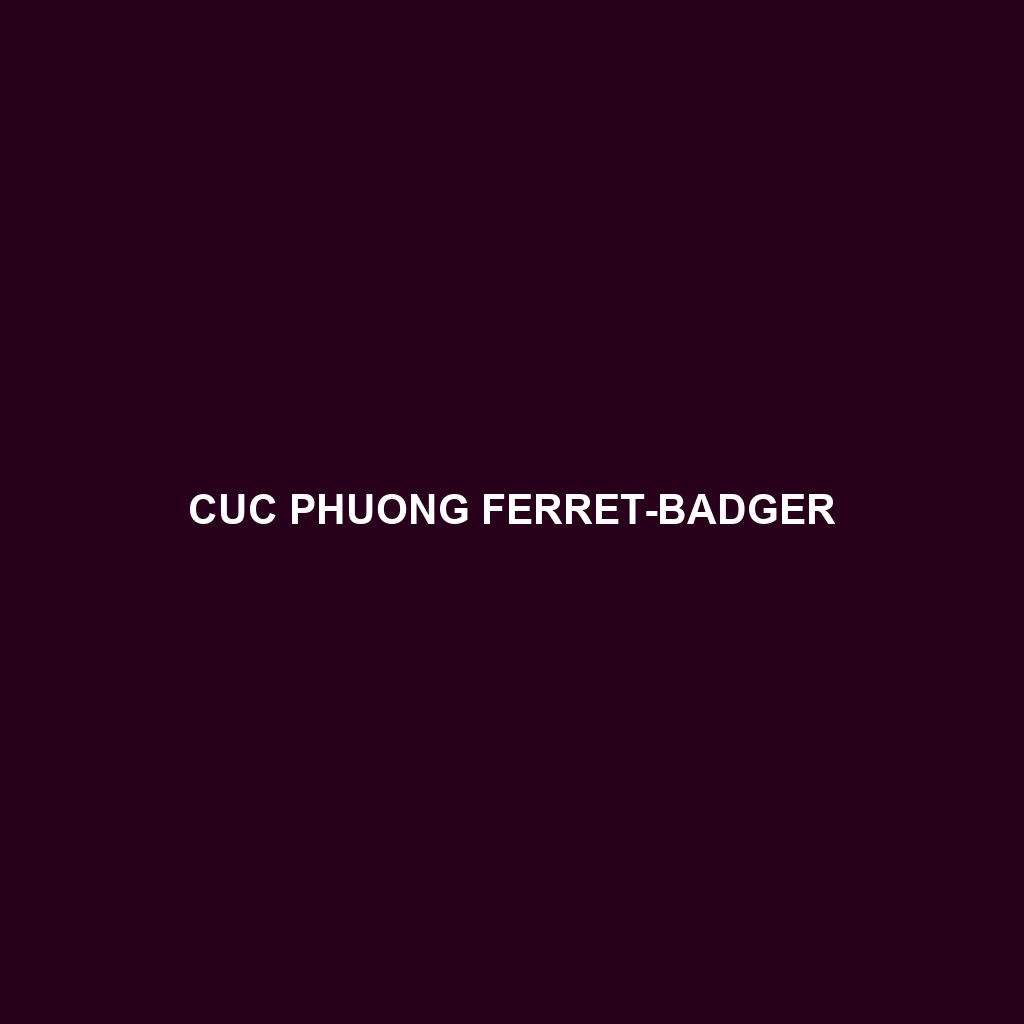 Cuc Phuong Ferret-badger