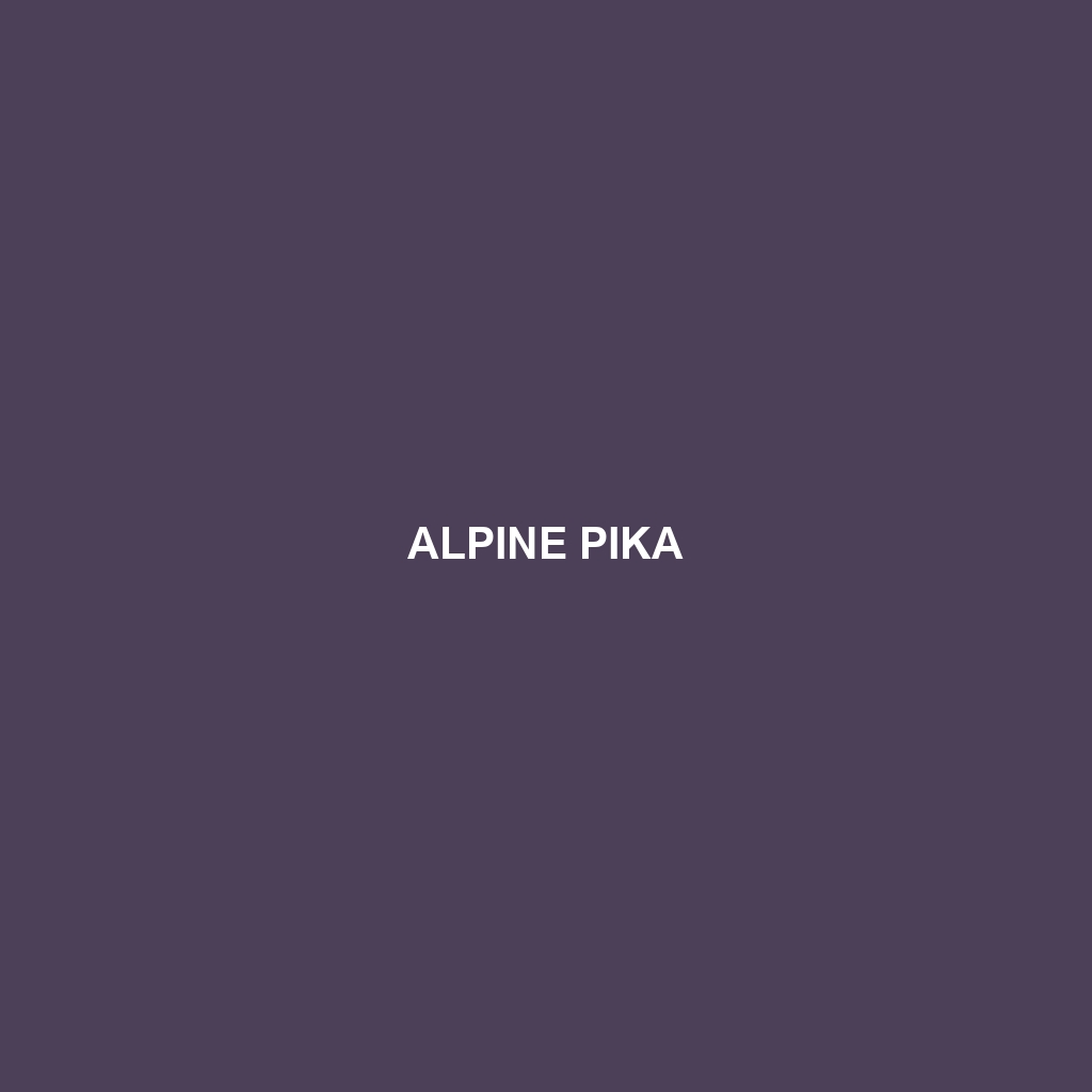 Alpine Pika