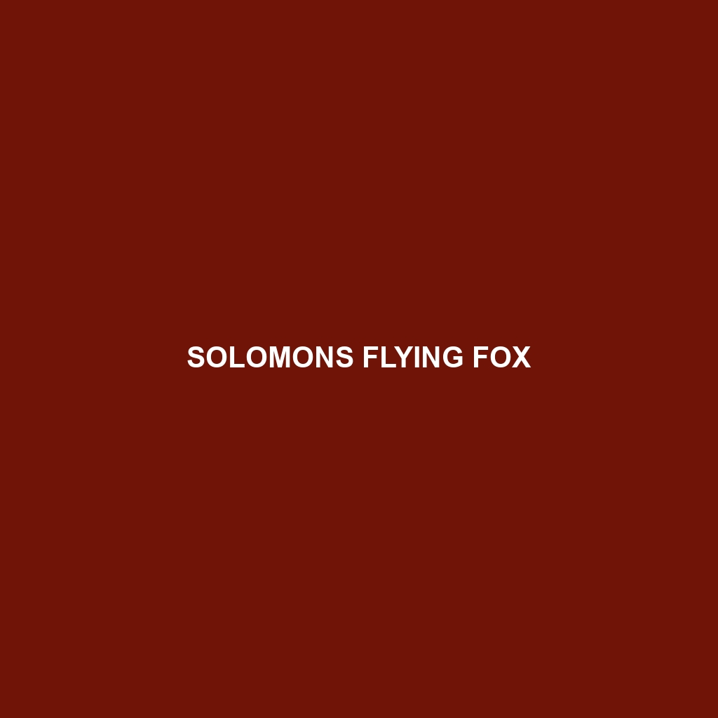 Solomons Flying Fox