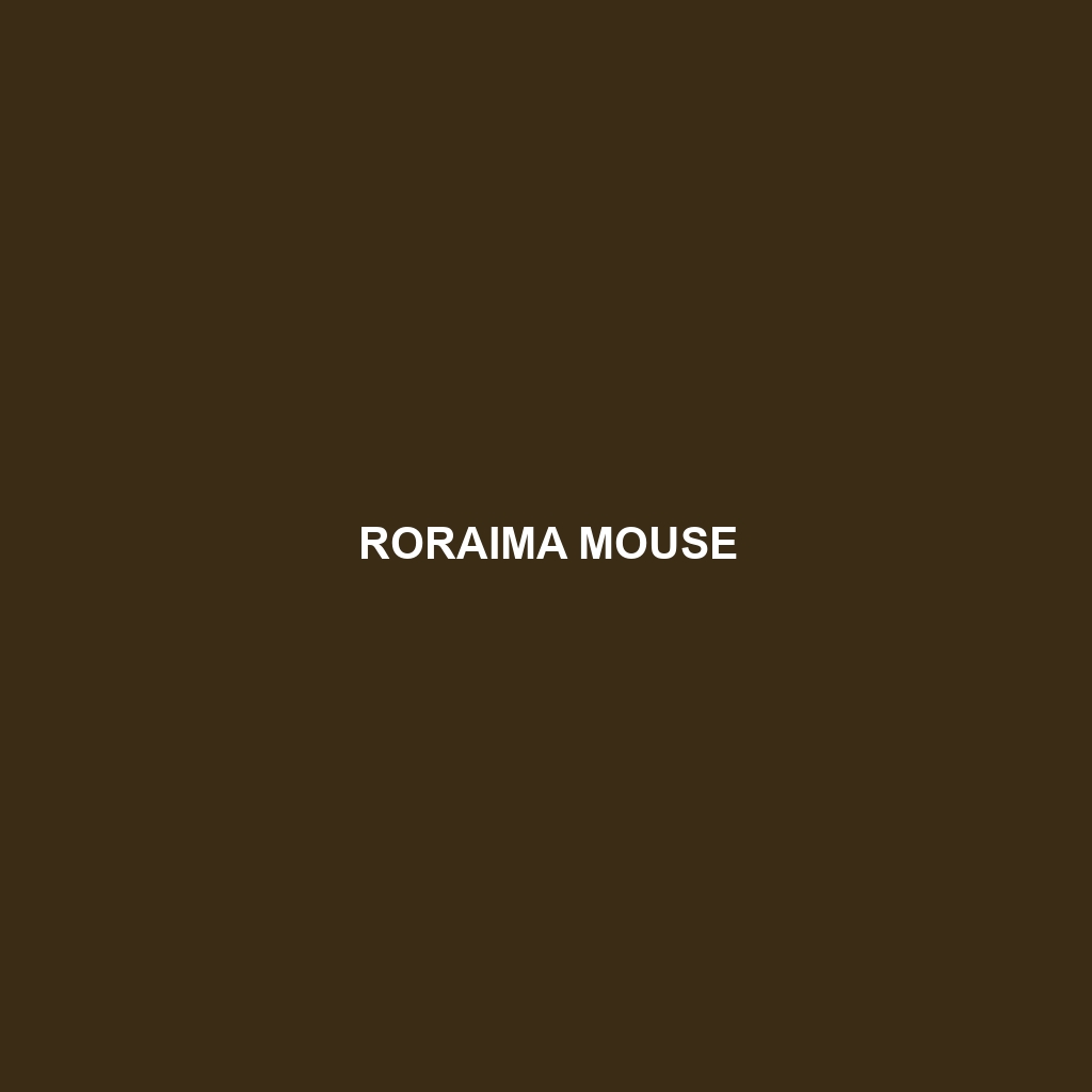 Roraima Mouse