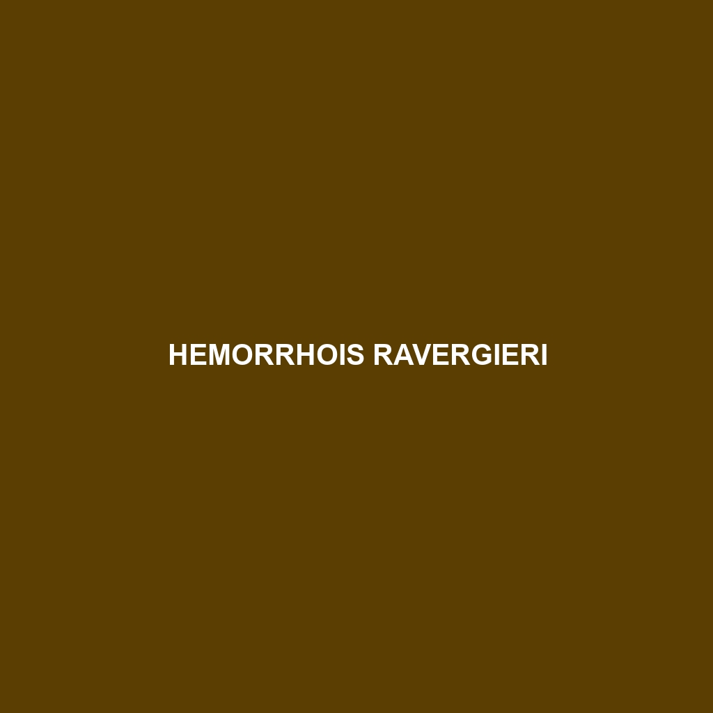 Hemorrhois ravergieri