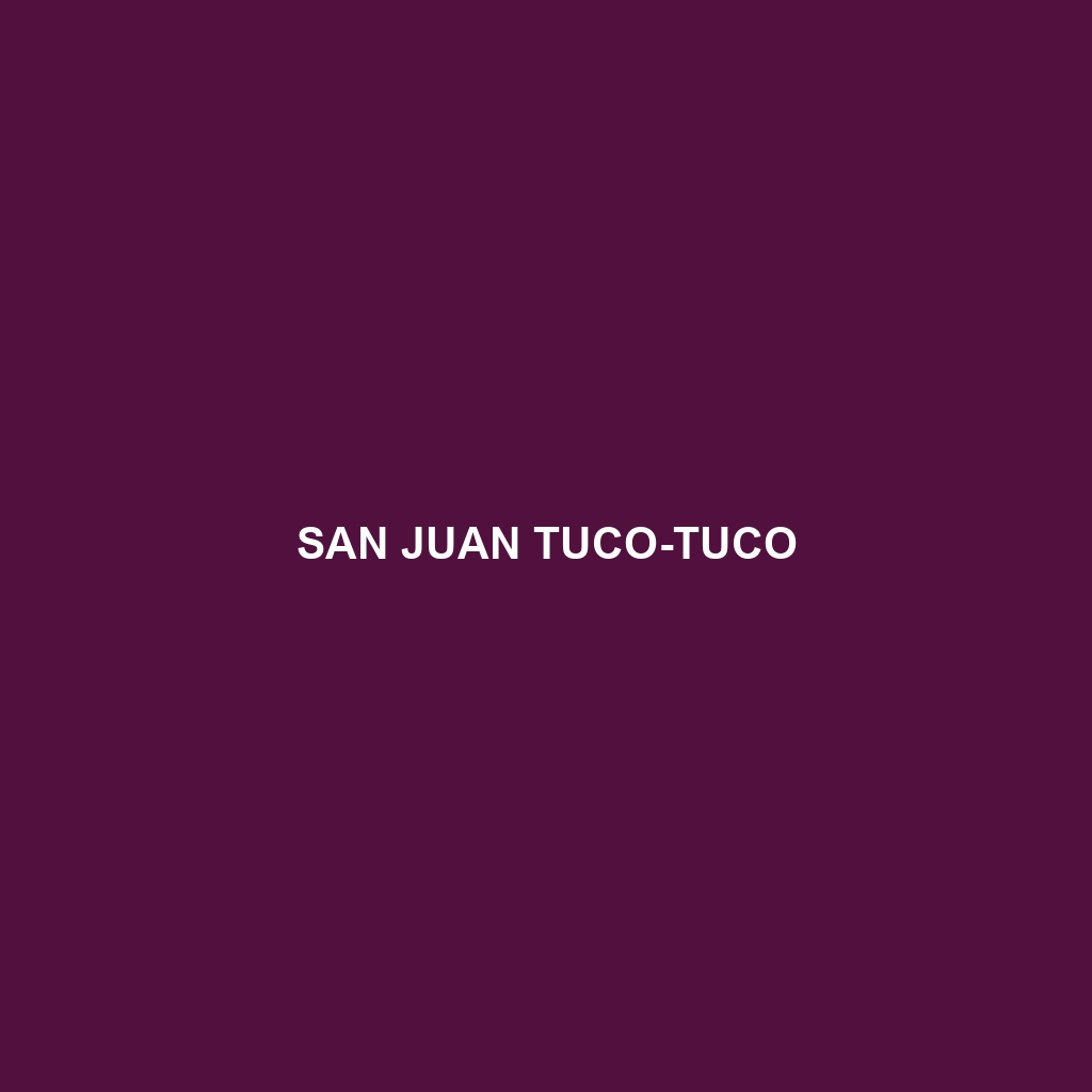 San Juan Tuco-tuco