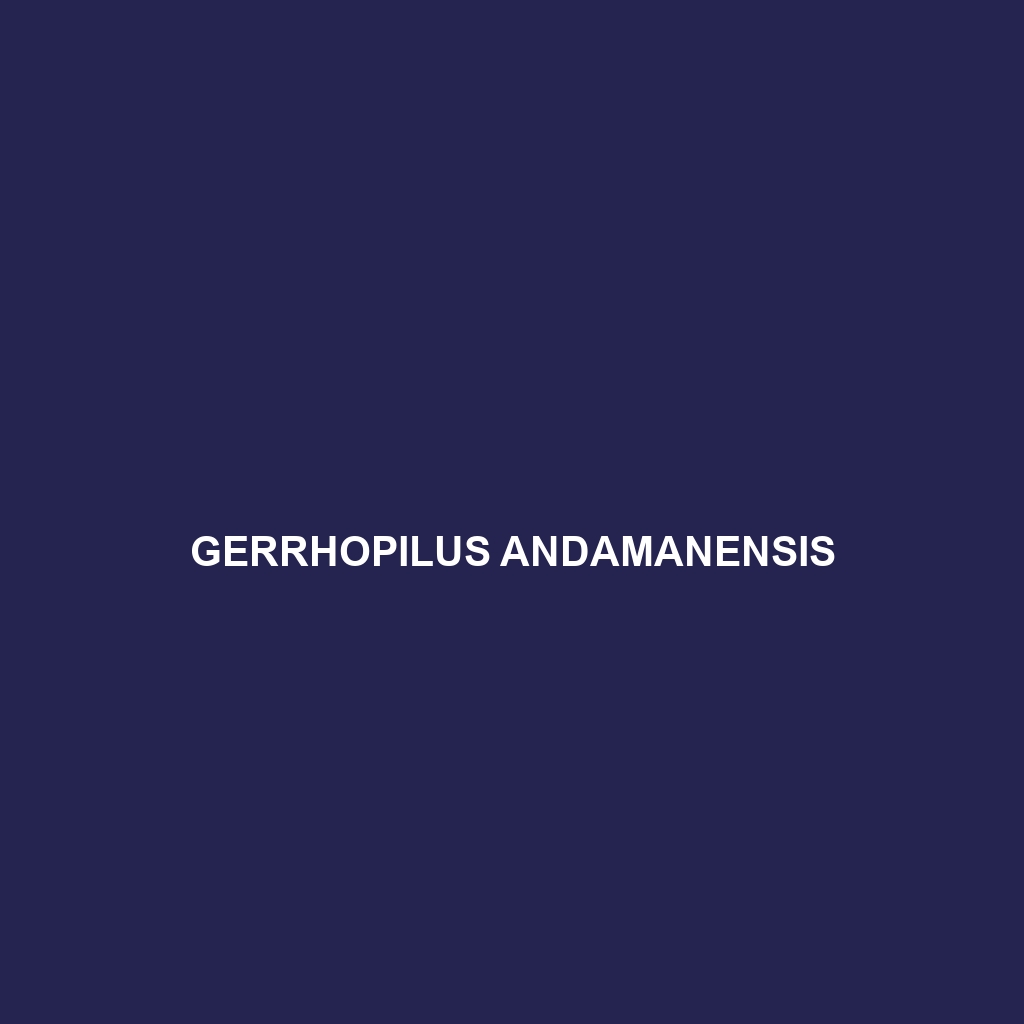 Gerrhopilus andamanensis