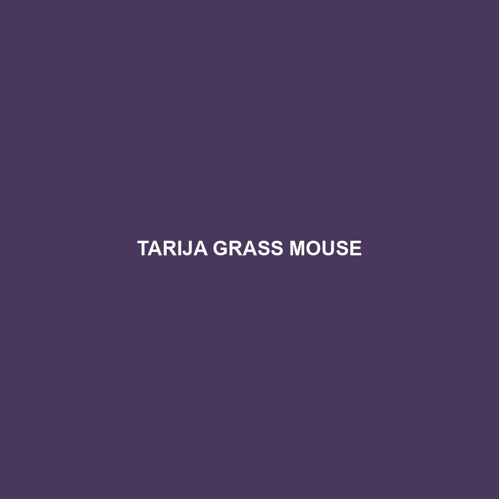 Tarija Grass Mouse