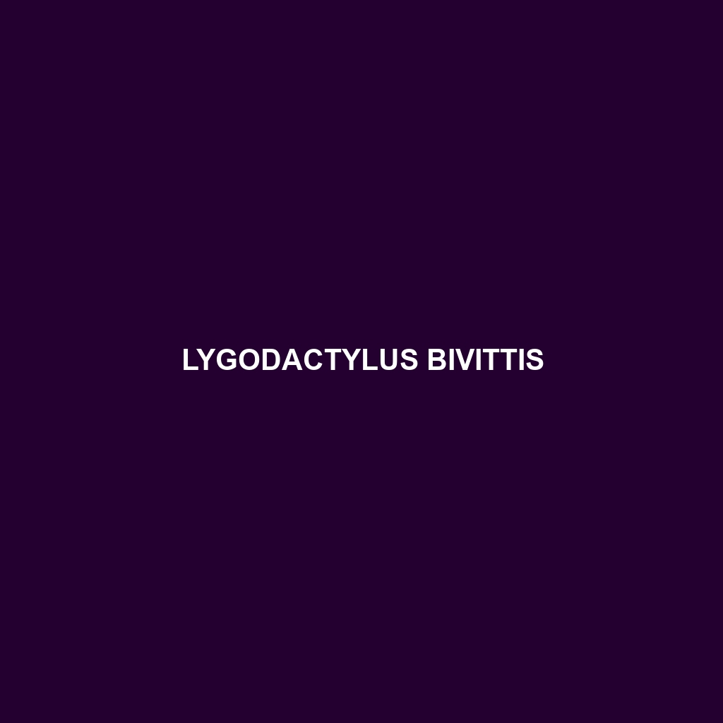 Lygodactylus bivittis