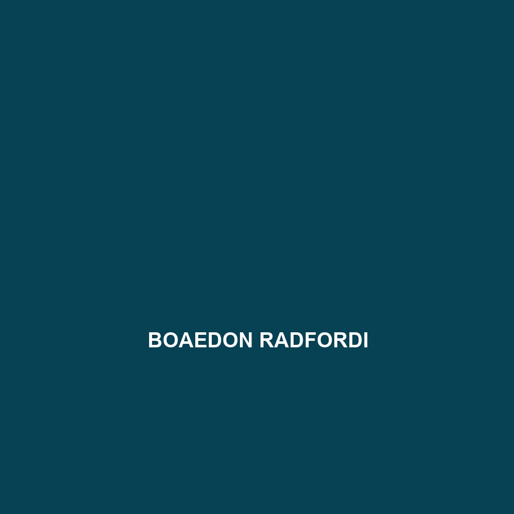 Boaedon radfordi