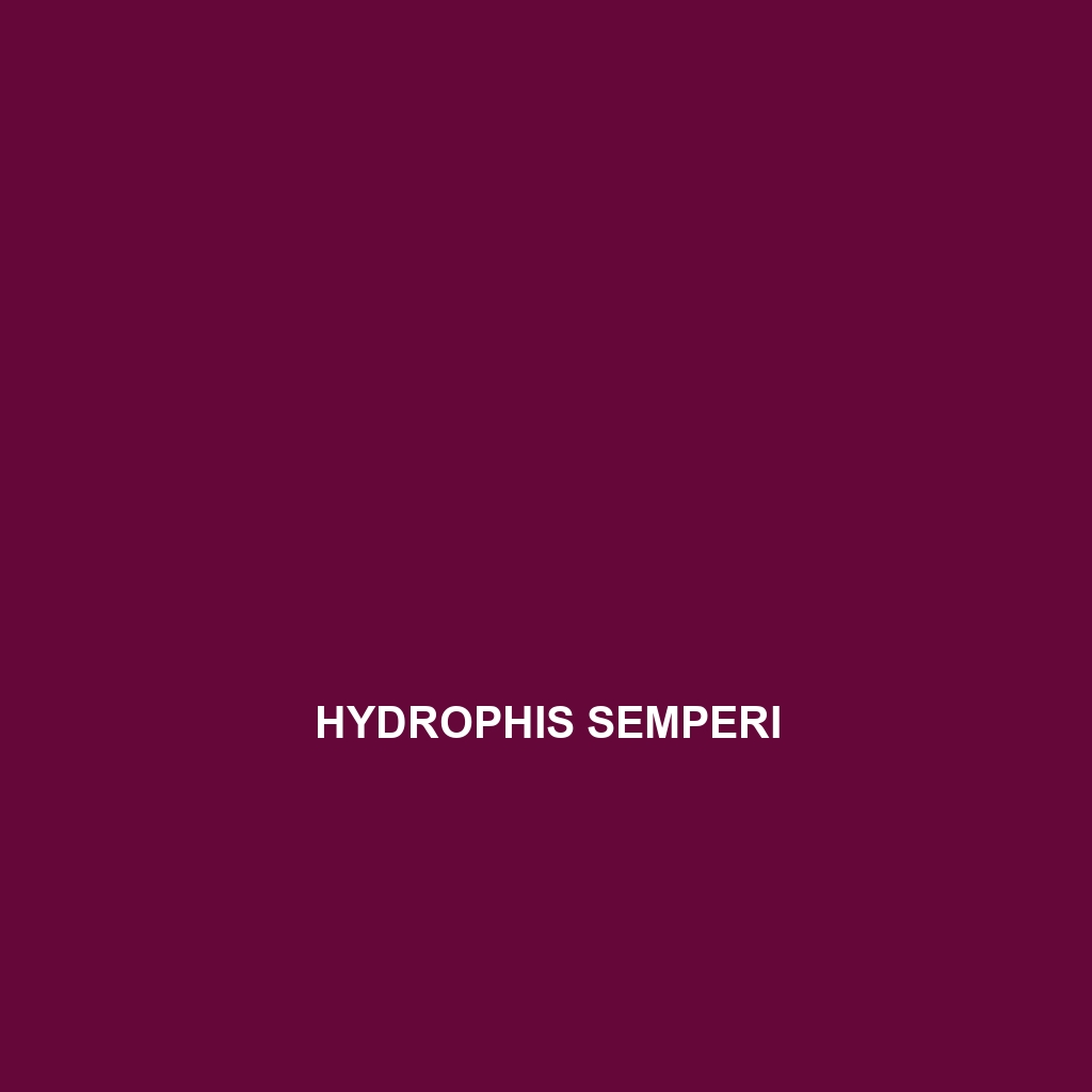 Hydrophis semperi