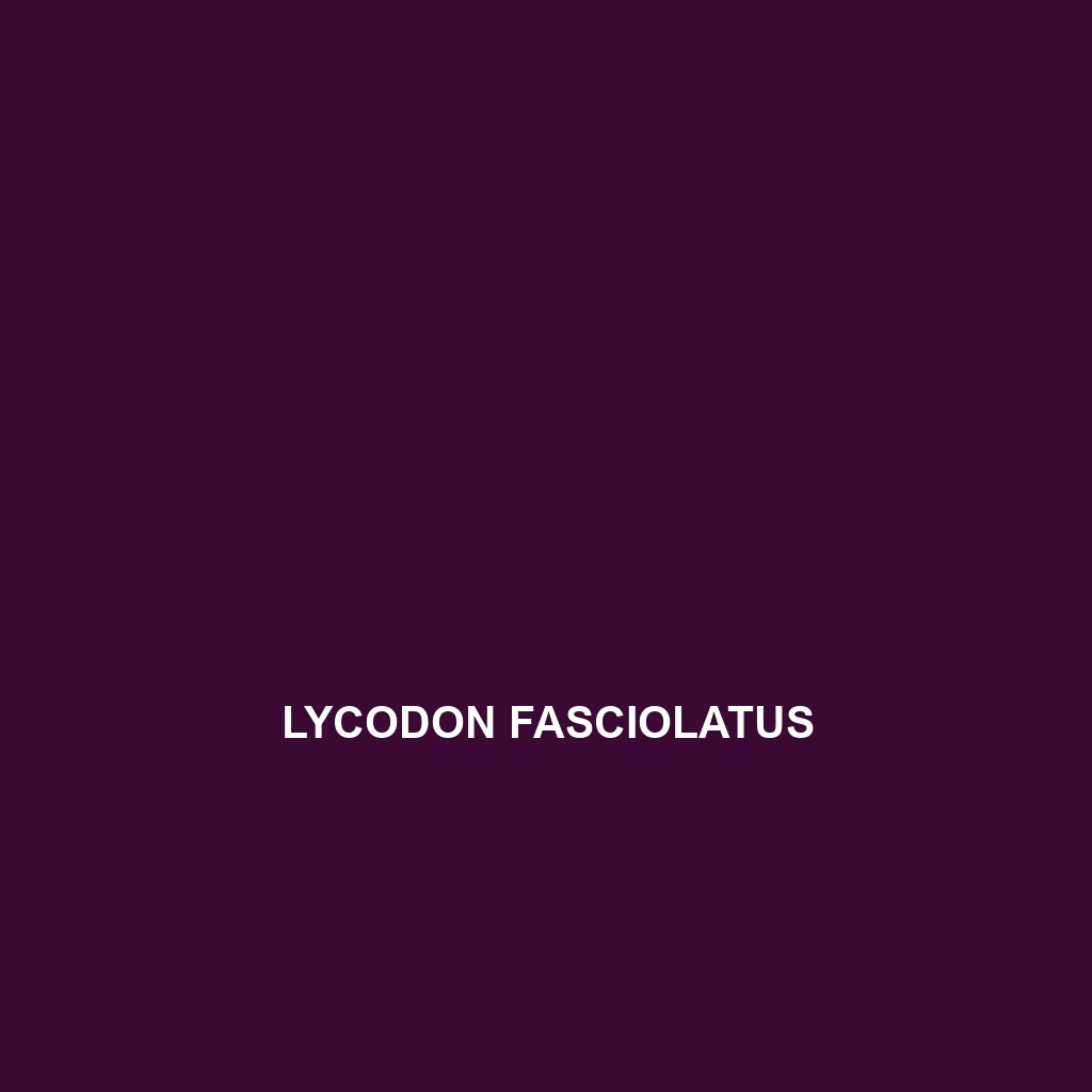 Lycodon fasciolatus