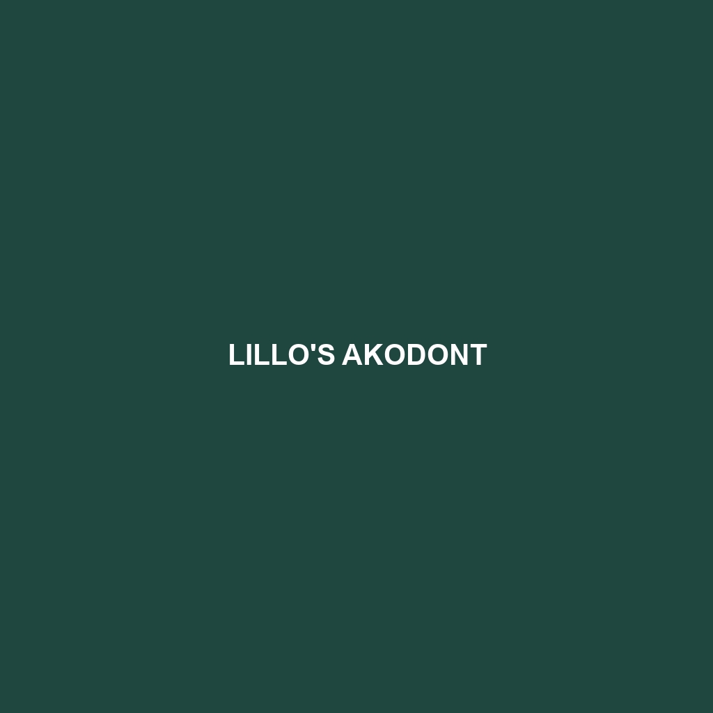 Lillo's Akodont