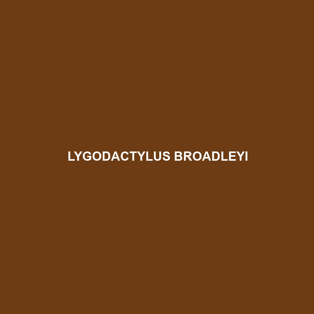 Lygodactylus broadleyi