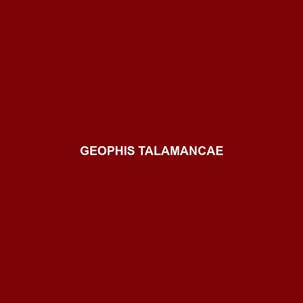 Geophis talamancae