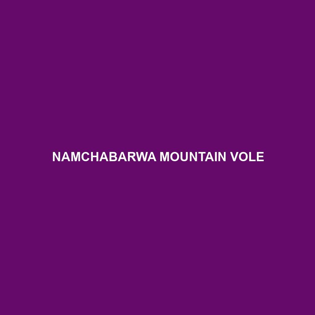 Namchabarwa Mountain Vole