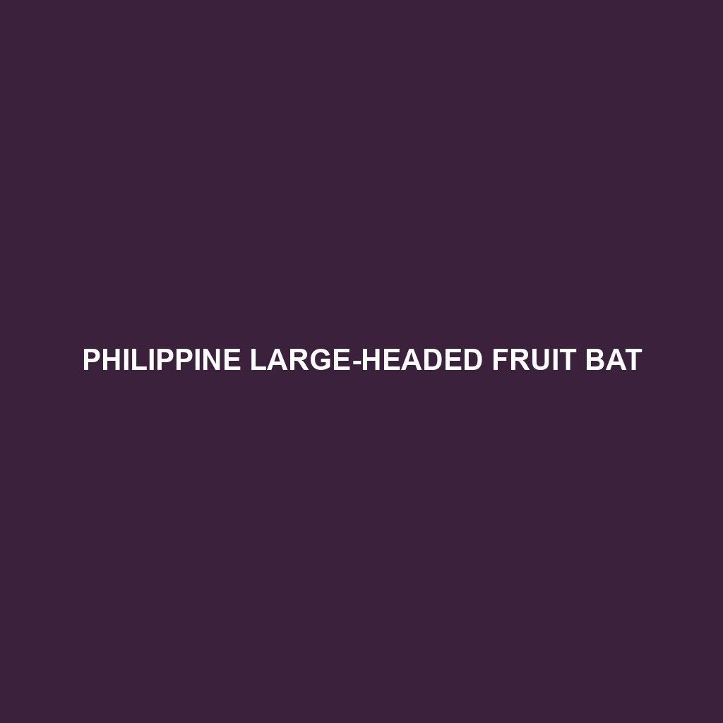 Philippine Large-headed Fruit Bat