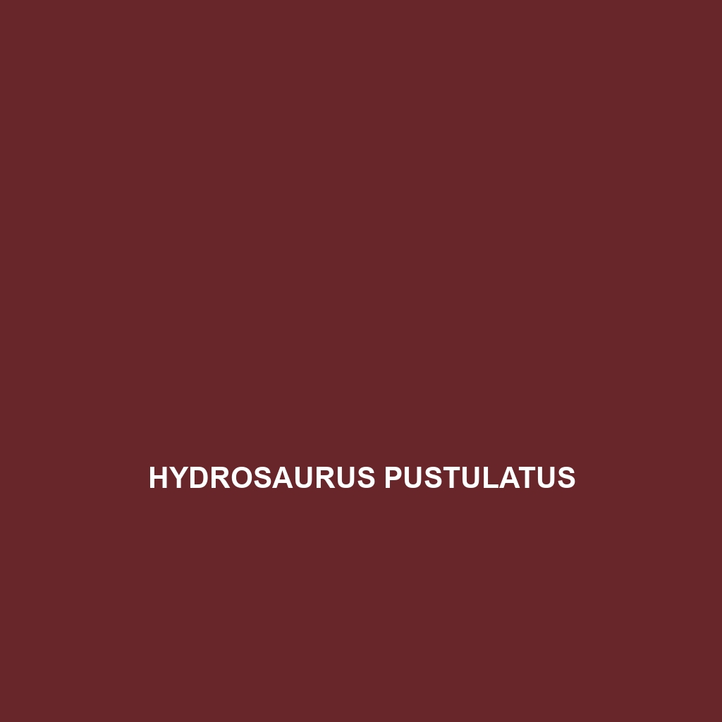 Hydrosaurus pustulatus