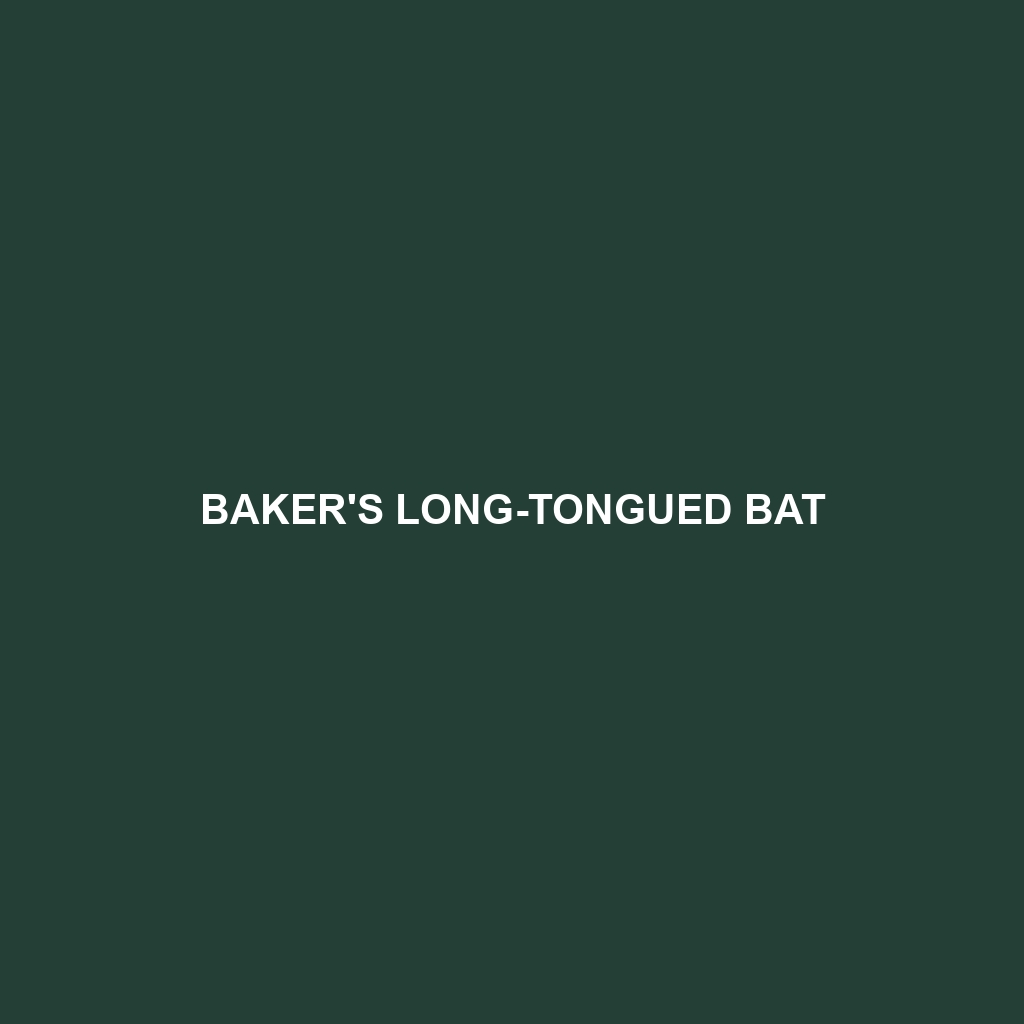 Baker's Long-tongued Bat