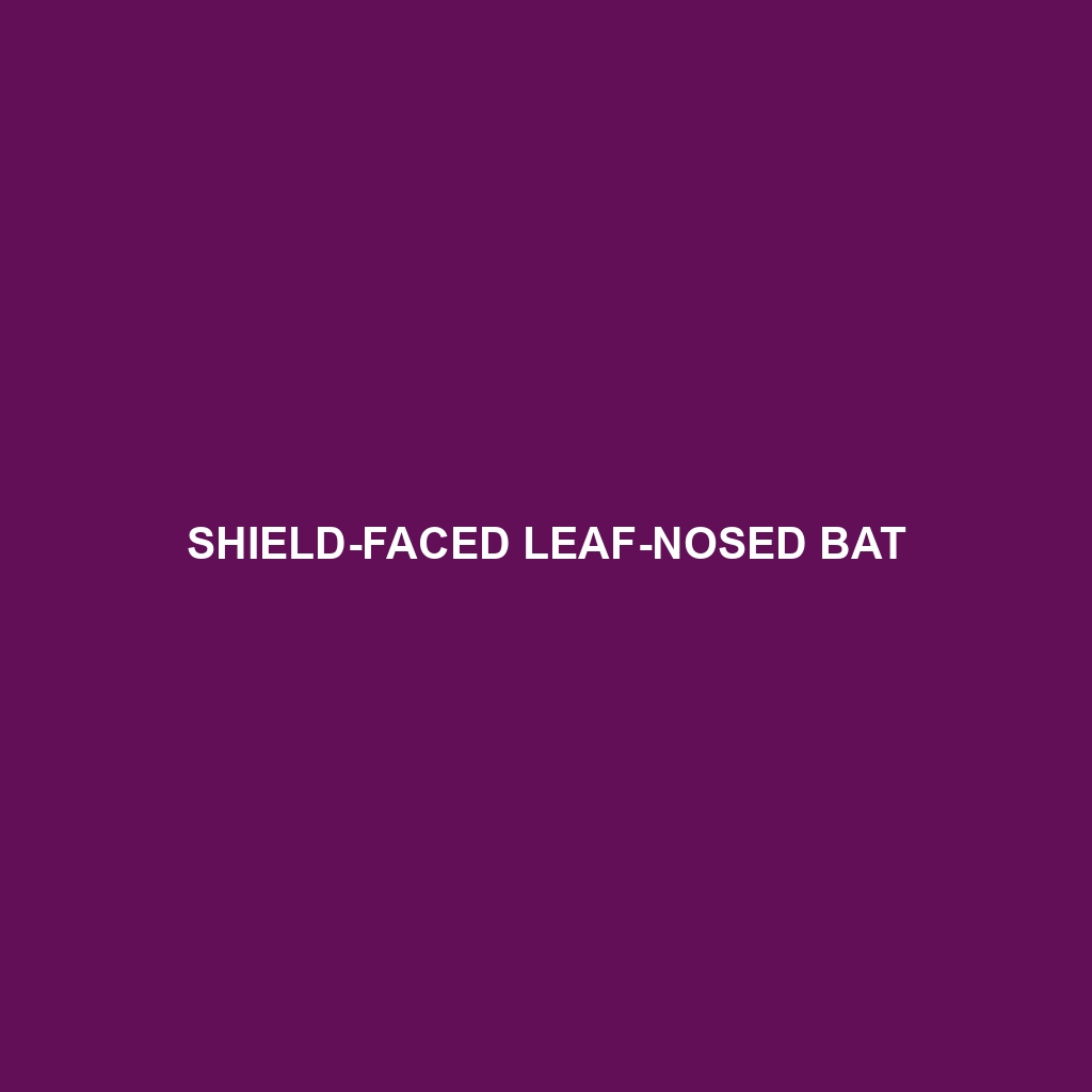 Shield-faced Leaf-nosed Bat