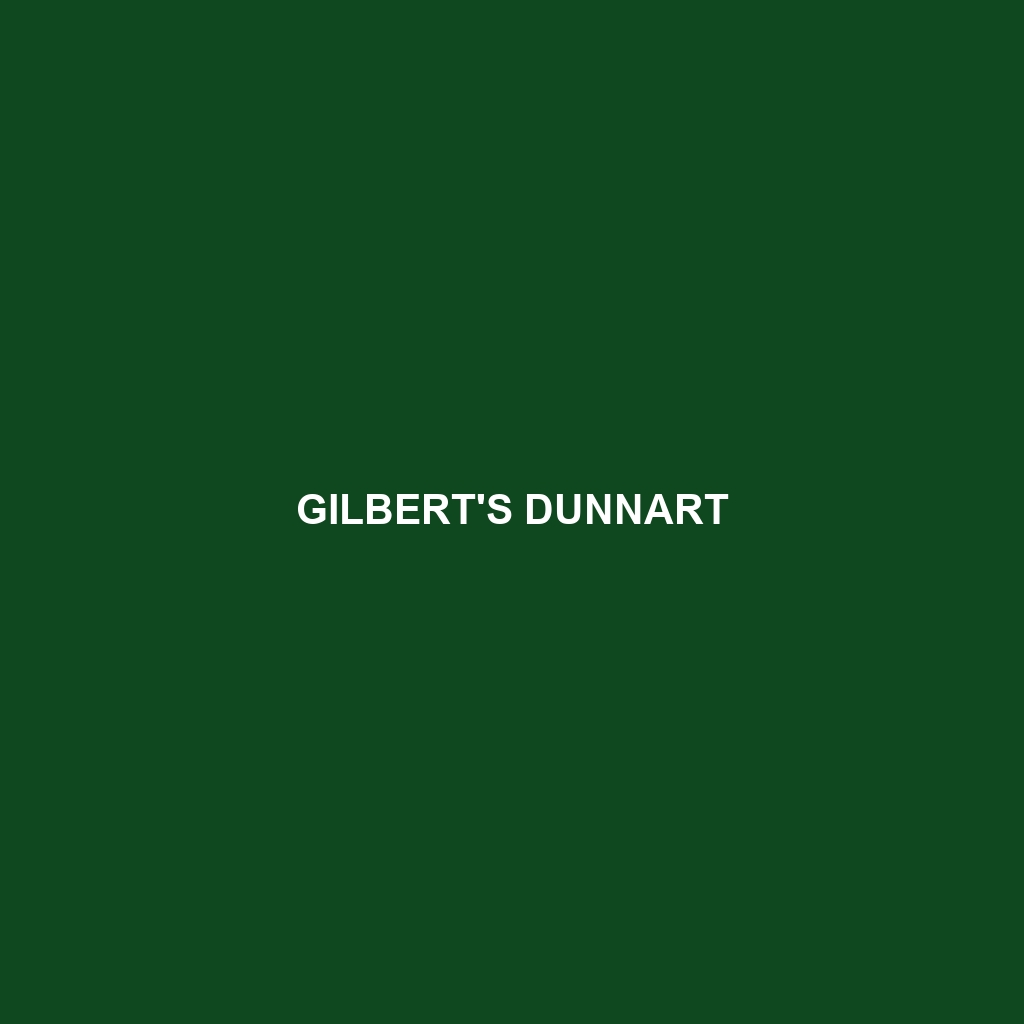 Gilbert's Dunnart