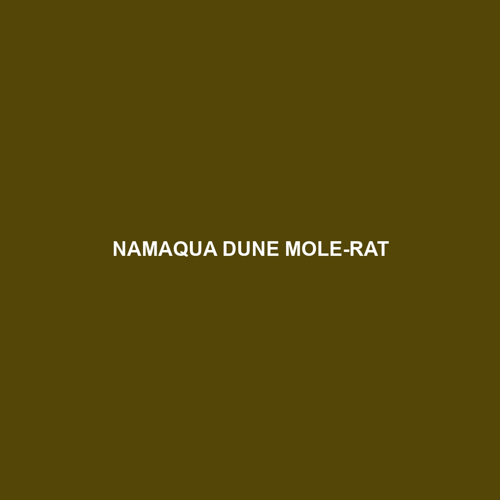 Namaqua Dune Mole-rat