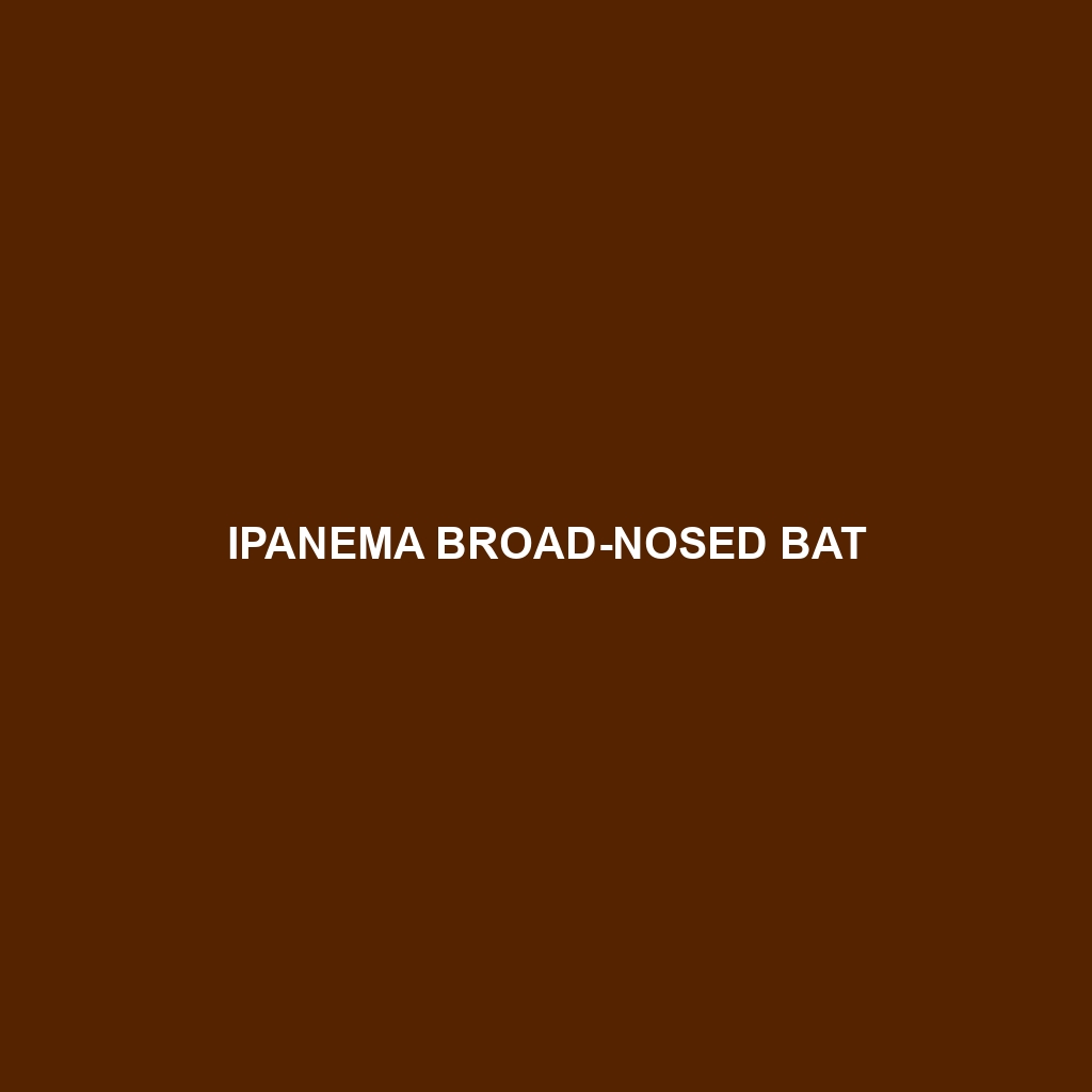 Ipanema Broad-nosed Bat