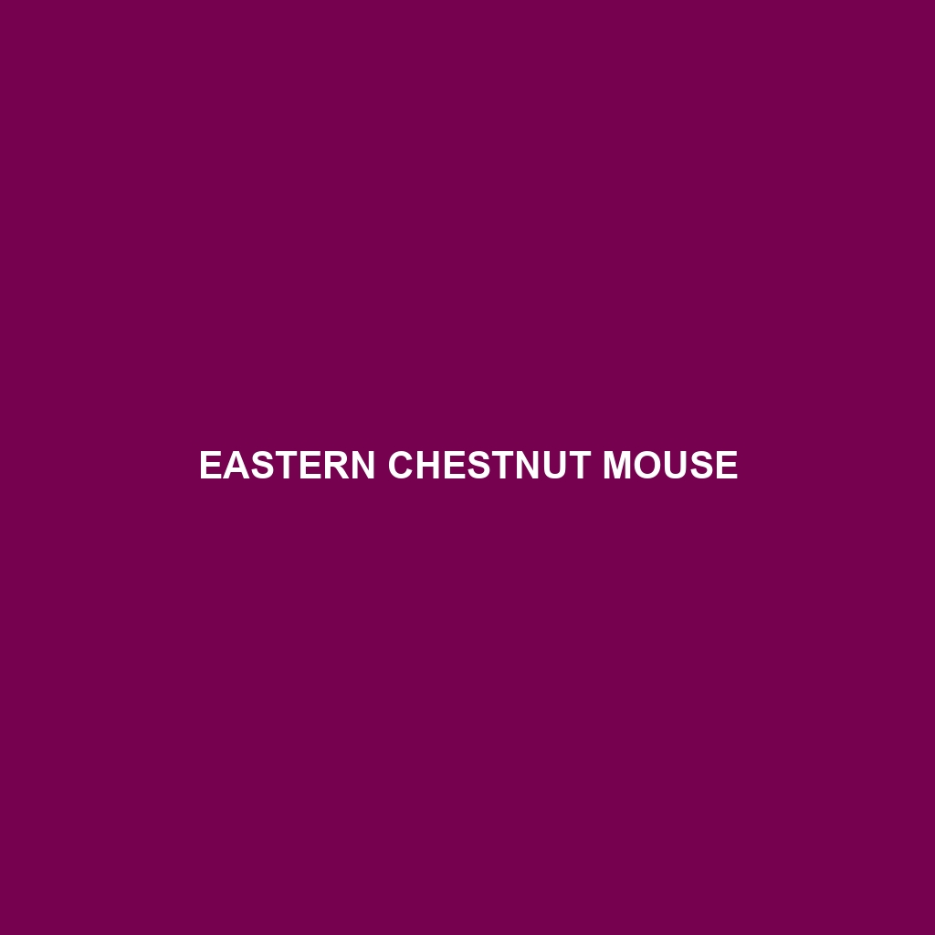 Eastern Chestnut Mouse