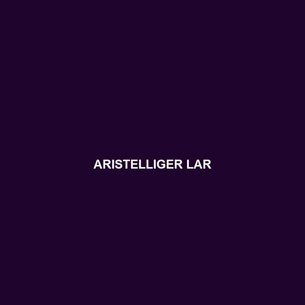 Aristelliger lar