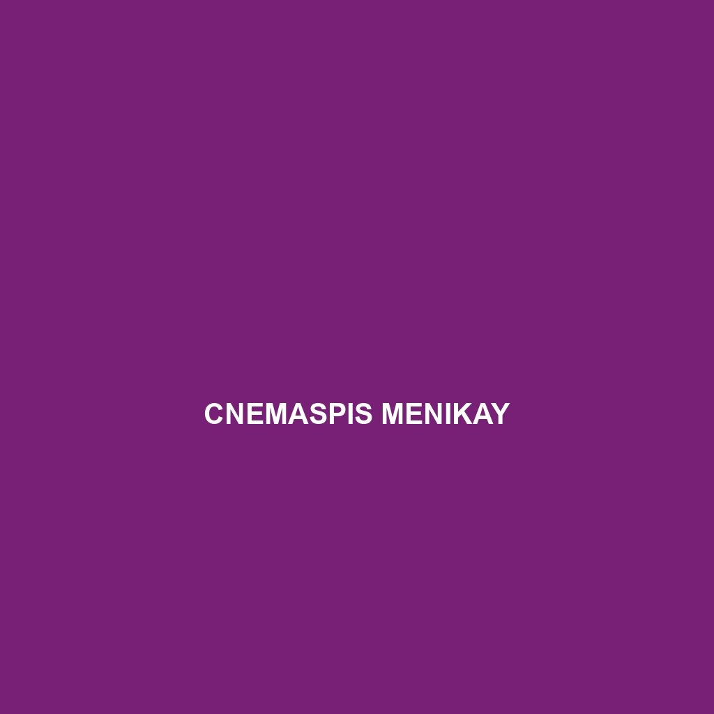 Cnemaspis menikay