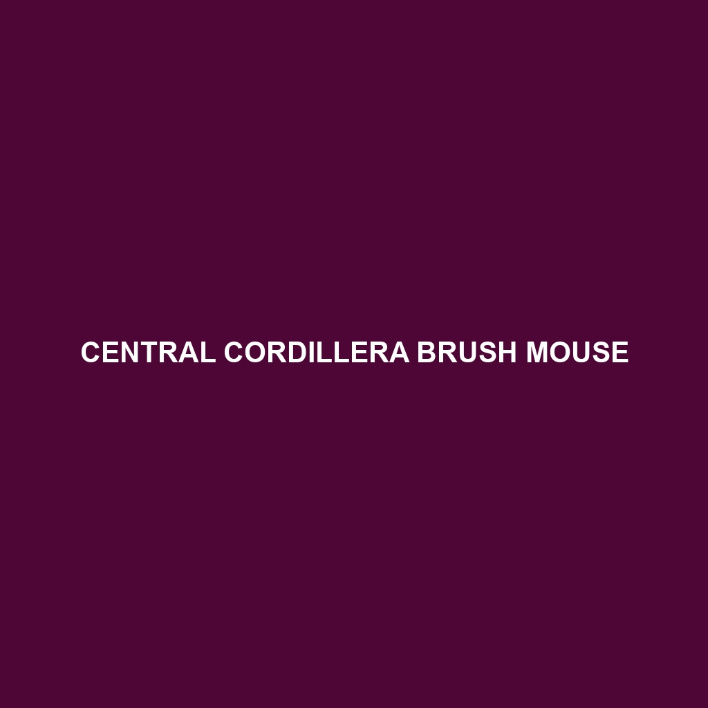 Central Cordillera Brush Mouse