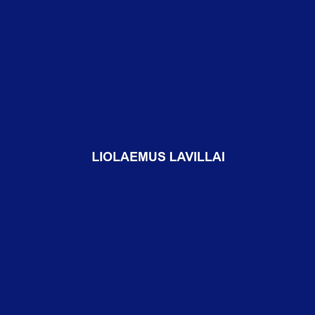 Liolaemus lavillai