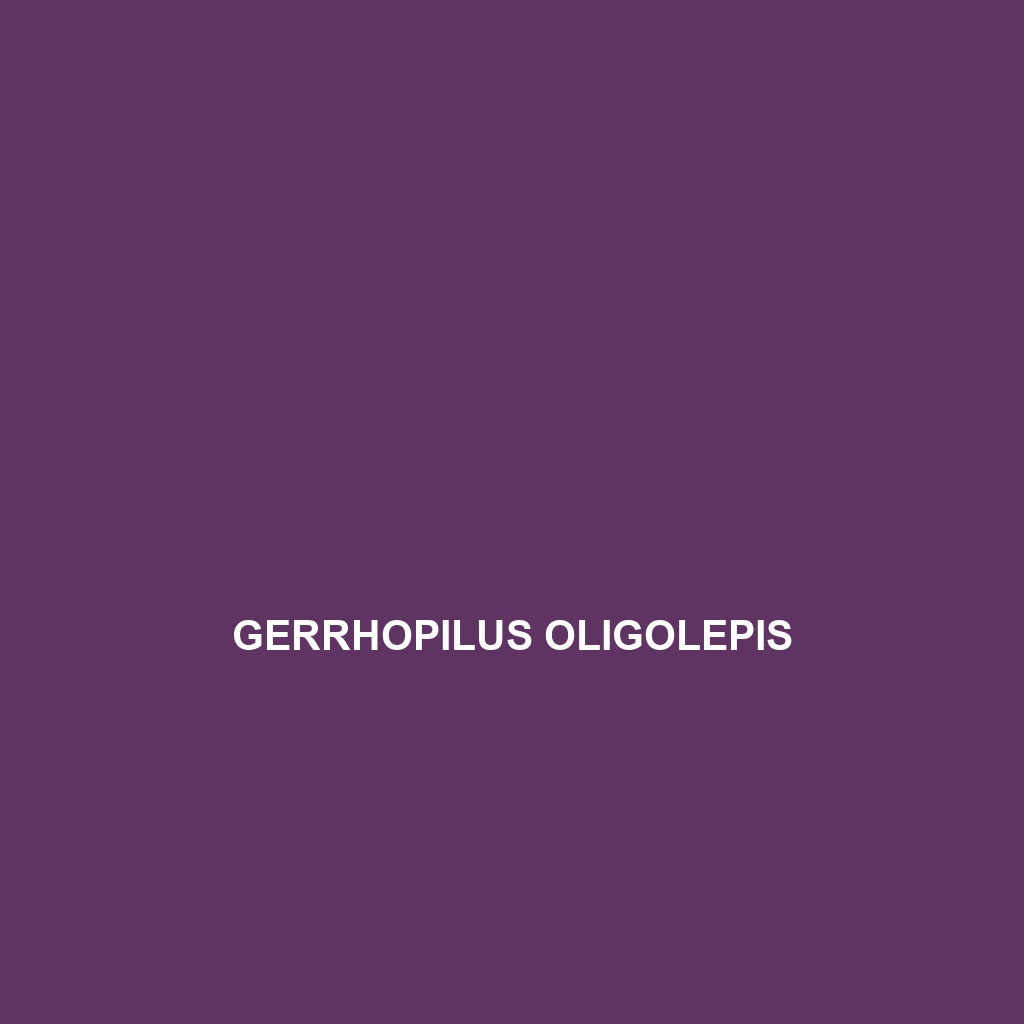 Gerrhopilus oligolepis