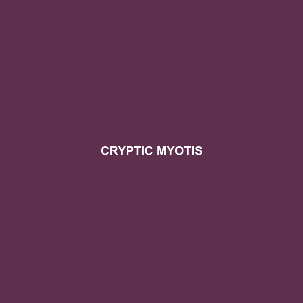 Cryptic Myotis