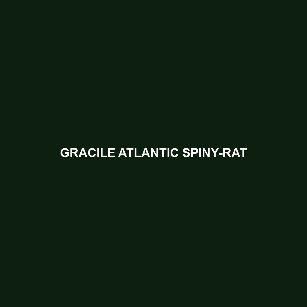 Gracile Atlantic Spiny-rat