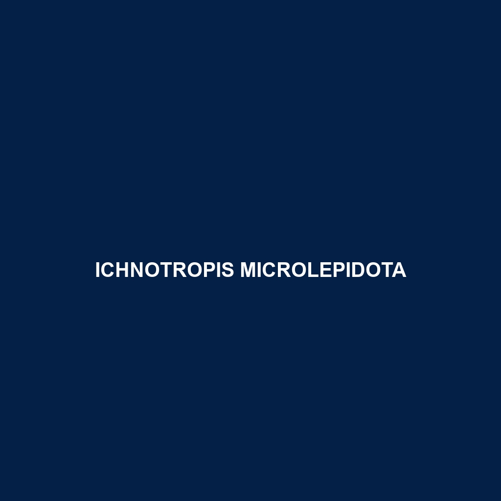 Ichnotropis microlepidota