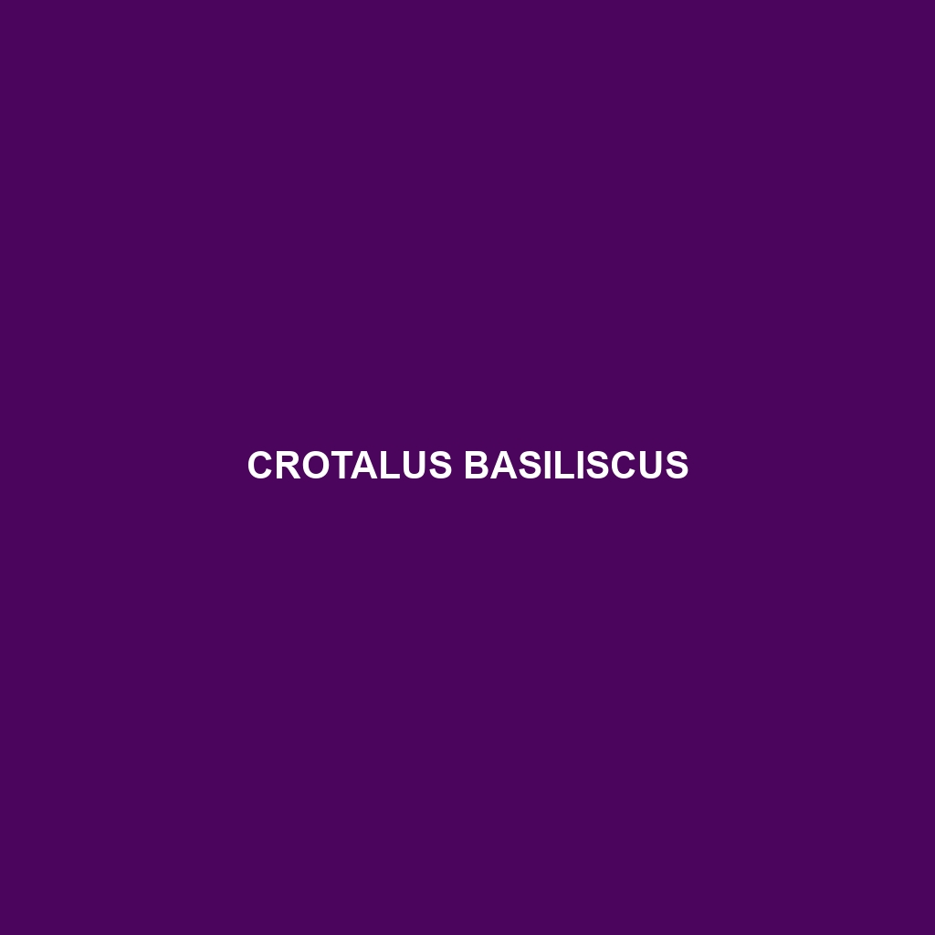 Crotalus basiliscus