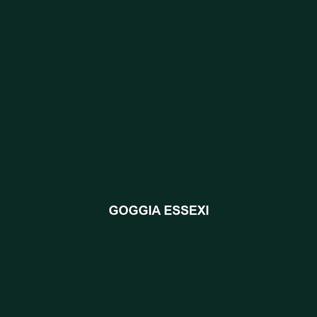 Goggia essexi