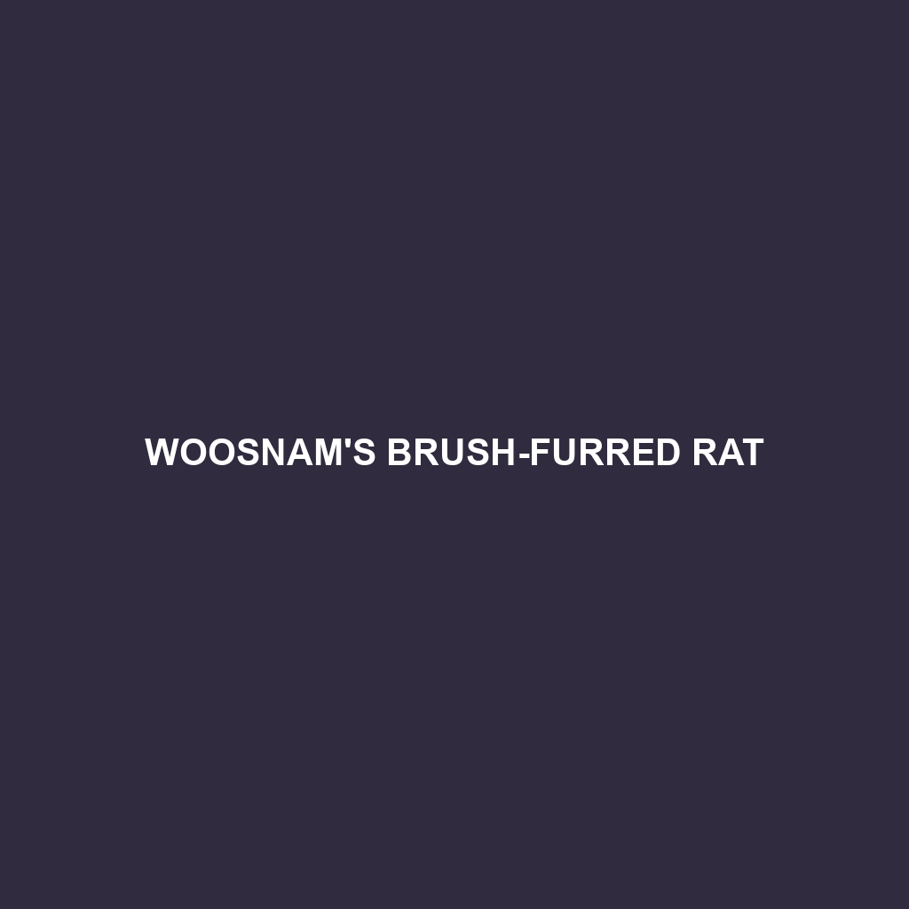 Woosnam's Brush-furred Rat