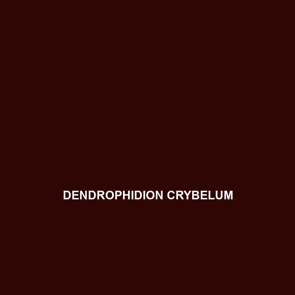 Dendrophidion crybelum