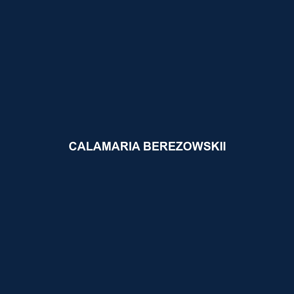 Calamaria berezowskii