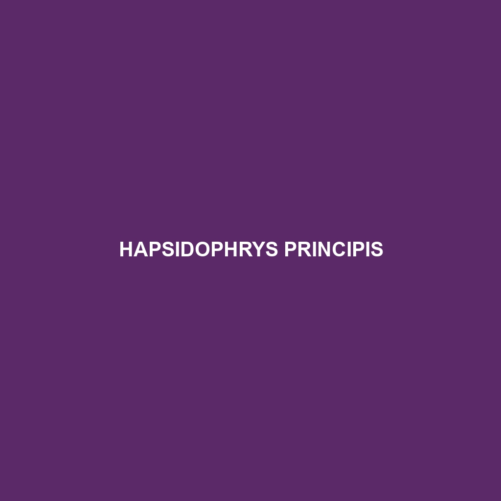 Hapsidophrys principis