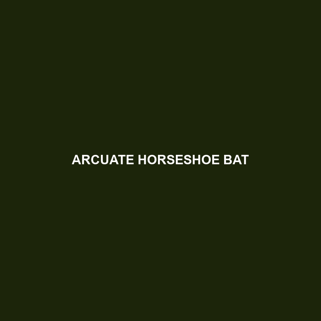 Arcuate Horseshoe Bat