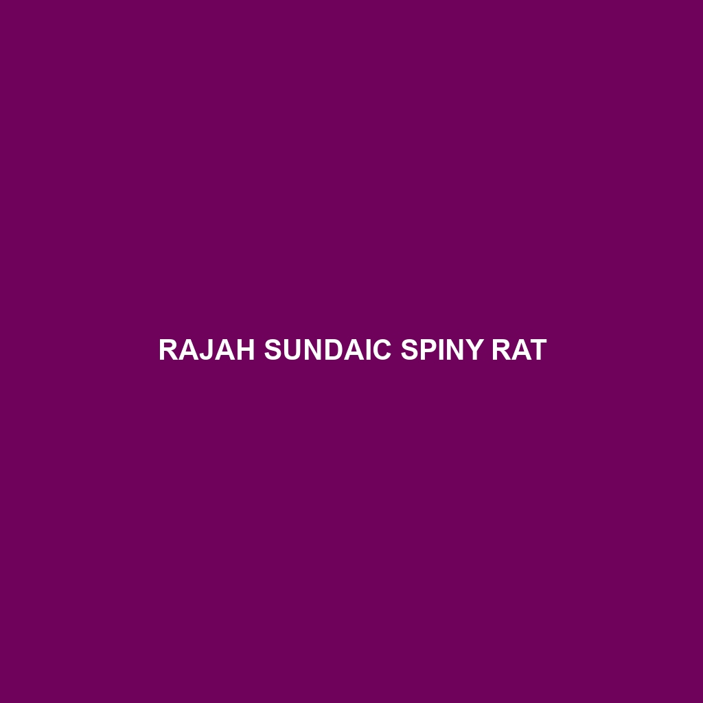 Rajah Sundaic Spiny Rat