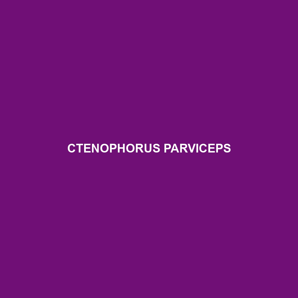 Ctenophorus parviceps