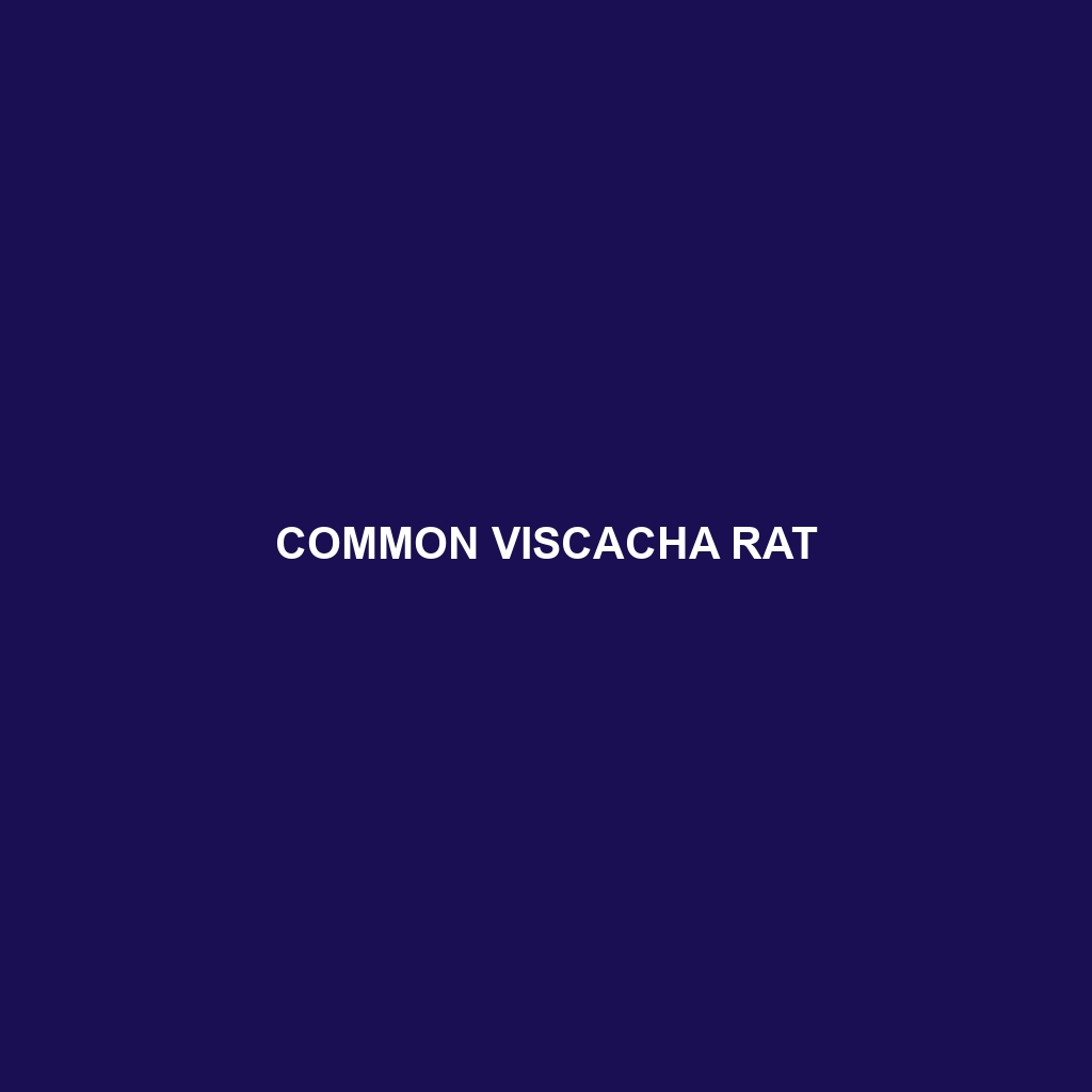 Common Viscacha Rat